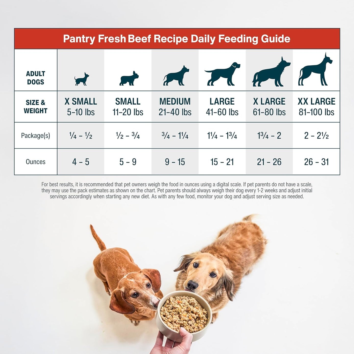 Pantry Fresh Wet Dog Food, Complete Meal or Dog Food Topper, Beef & Russet Potato Human Grade Dog Food Recipe - 12.5 Oz (Pack of 6)