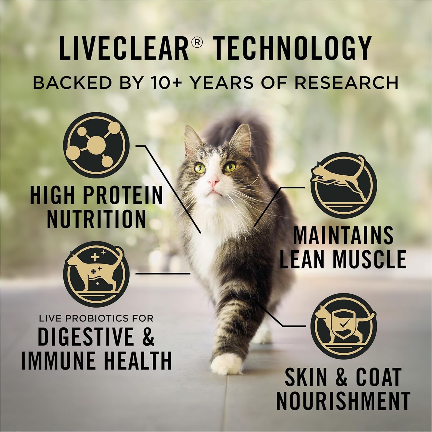 Liveclear with Probiotics Allergen Reducing Indoor Turkey & Rice Adult Dry Cat Food