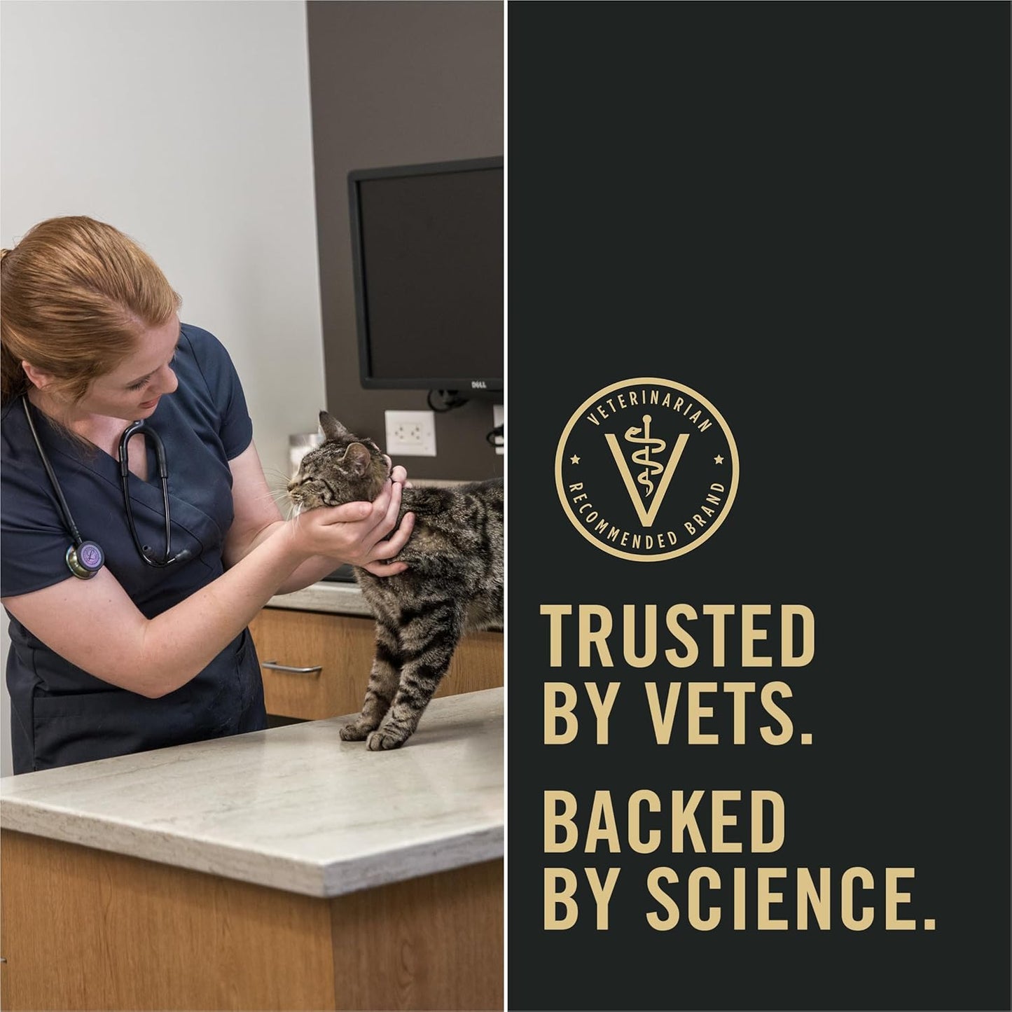 Liveclear with Probiotics Allergen Reducing Indoor Turkey & Rice Adult Dry Cat Food