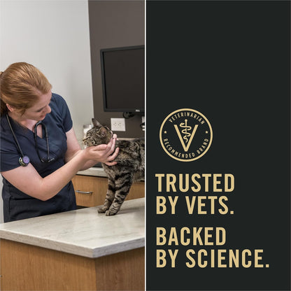 Liveclear with Probiotics Allergen Reducing Indoor Turkey & Rice Adult Dry Cat Food