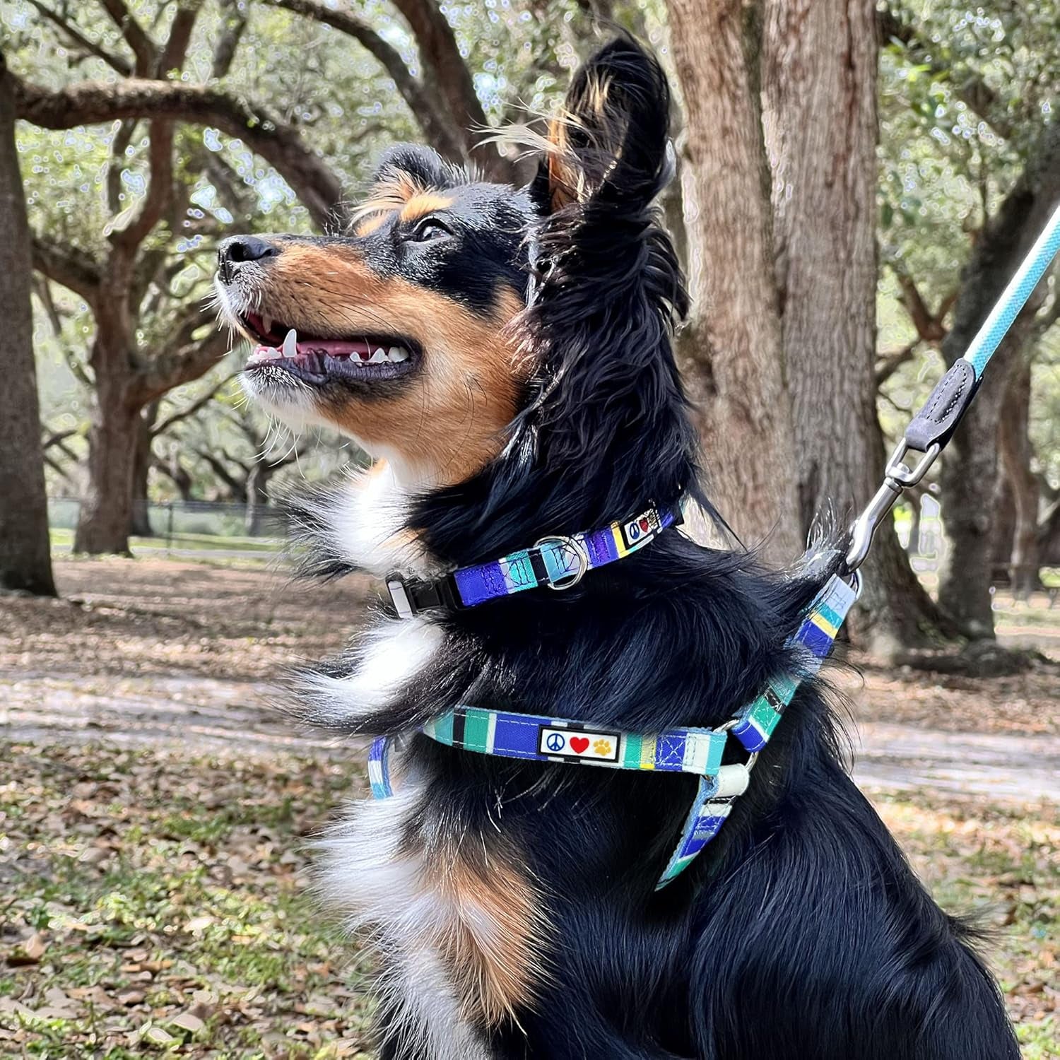 Multicolor Dog Collar Puppy Collar Pet Collar Multicolor Dog Collar Small Dog Collar Green / White / Blue Dog Collar