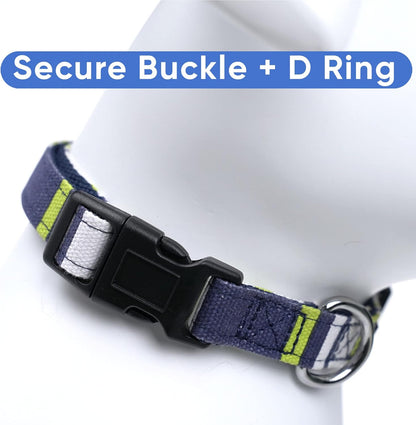 Multicolor Dog Collar Puppy Collar Pet Collar Multicolor Dog Collar Small Dog Collar Green / White / Blue Dog Collar